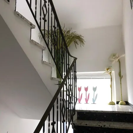 Appartement Lipp